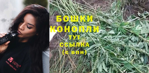 крисы Елабуга