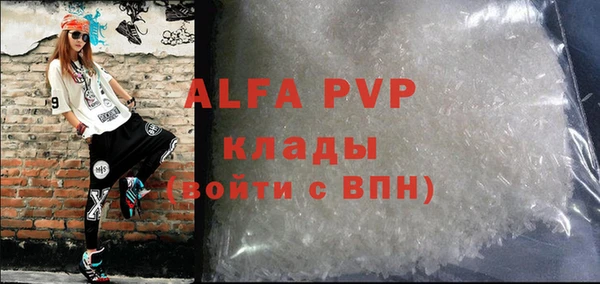 гидра Ельня