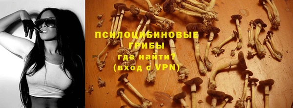 a pvp Алексин