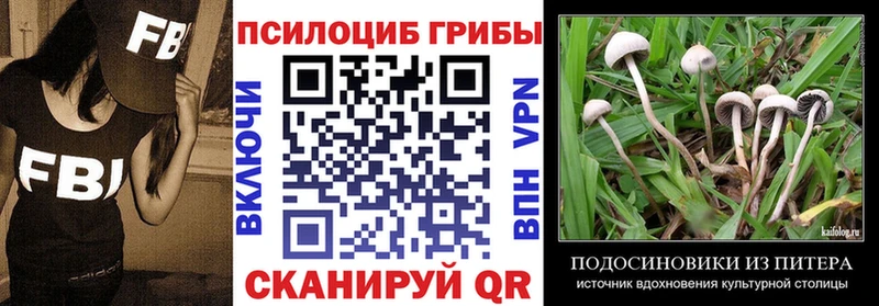 Галлюциногенные грибы Psilocybine cubensis  гидра вход  Игра 